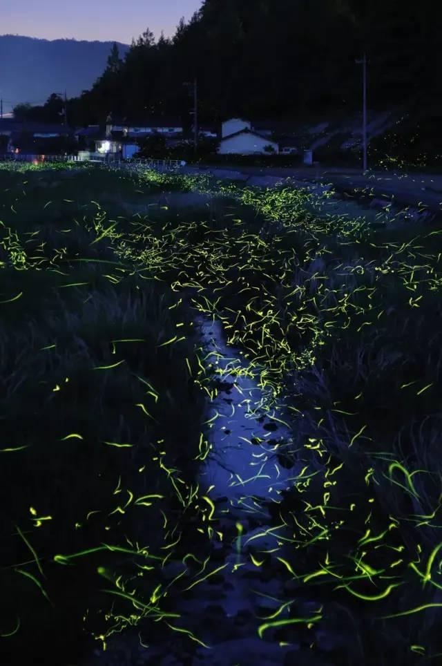 梦幻西游3D