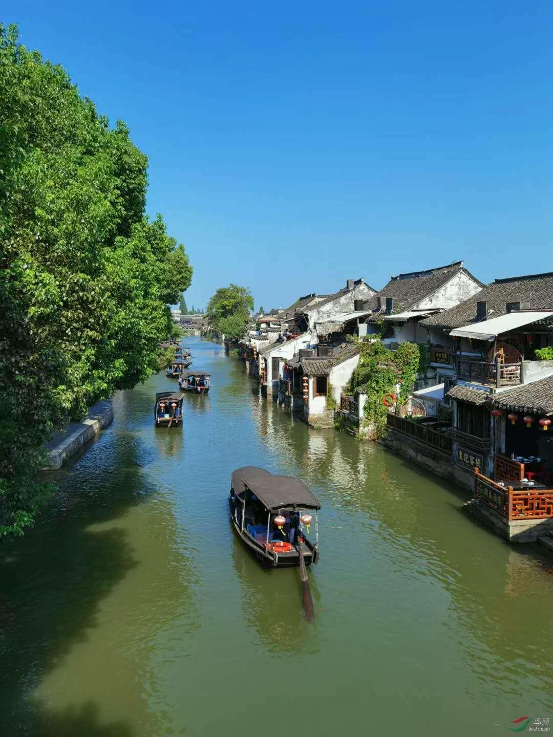 顺溜大冲锋2